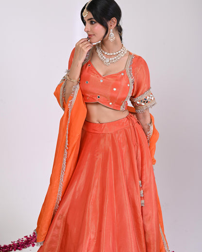 Riddhima Cosmo Aaina Lehanga Set