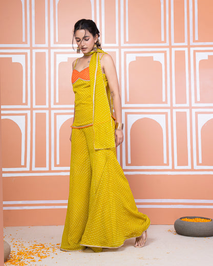 Rakul lehariya sharara set