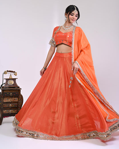 Riddhima Cosmo Aaina Lehanga Set