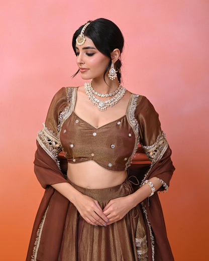 Anahita Cosmo Aaina Lehanga Set