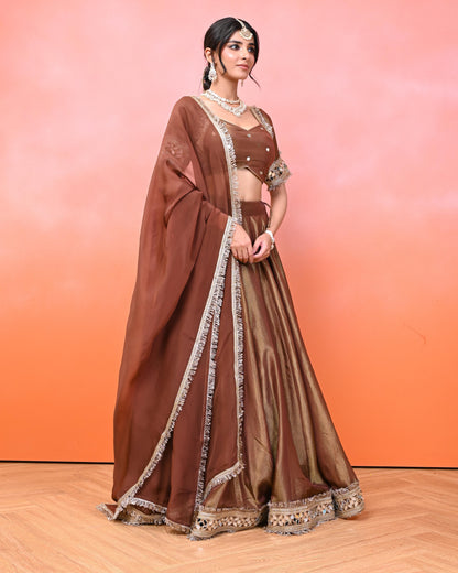 Anahita Cosmo Aaina Lehanga Set
