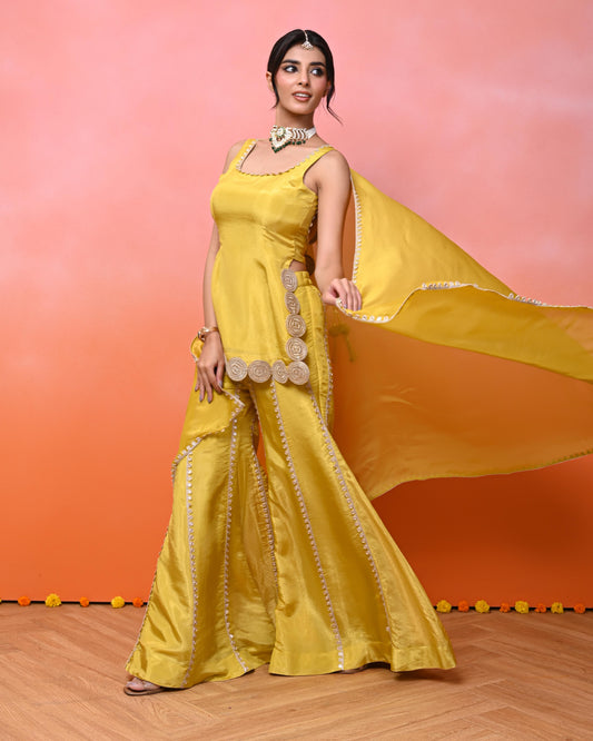Srishti Cosmo Sharara Set