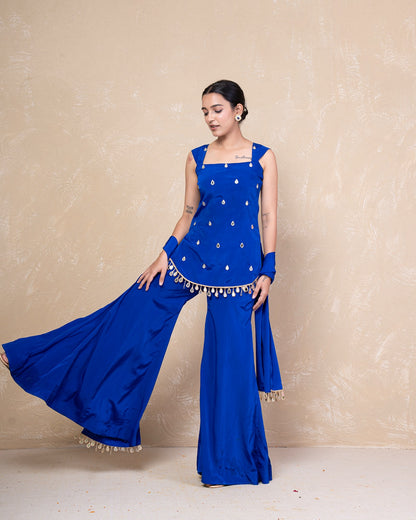Reet Blue Mirrorwork Sharara Set