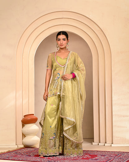 Farzana Embroidered Garara Set