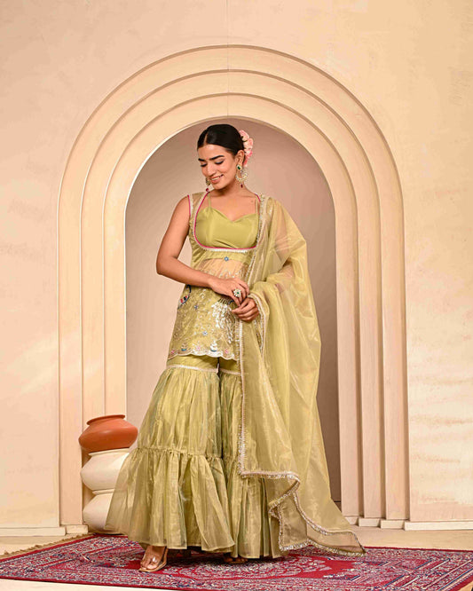 Damini Embroidered Garara Set