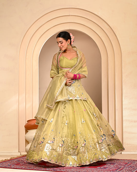 Baisakhi Embroidered Lehanga Set