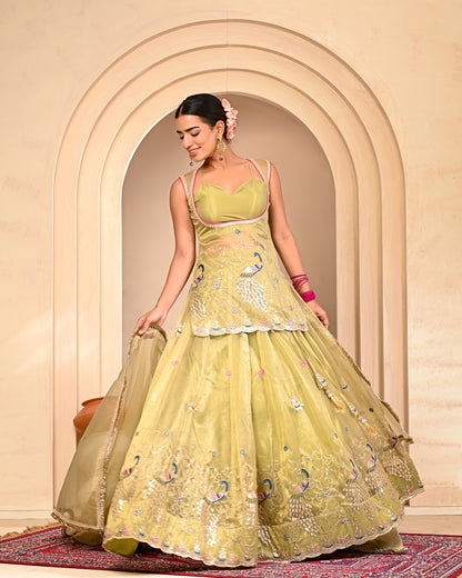 Baisakhi Embroidered Lehanga Set